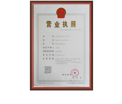 皂角刺 优质大刺选货 原产地直供 道地药材 河南嵩县 七天无理由退换货